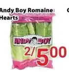 Nations Fresh Foods Andy Boy Romaine Hearts offer