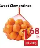 Nations Fresh Foods Sweet Clementines offer