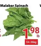 Nations Fresh Foods Malabar Spinach offer