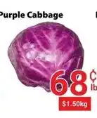 Nations Fresh Foods Purple Cabbage offer