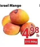 Nations Fresh Foods Israel Mango offer