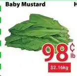 Nations Fresh Foods Baby Mustard offer