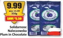 Starsky Solidarnosc Plum in Chocolate offer