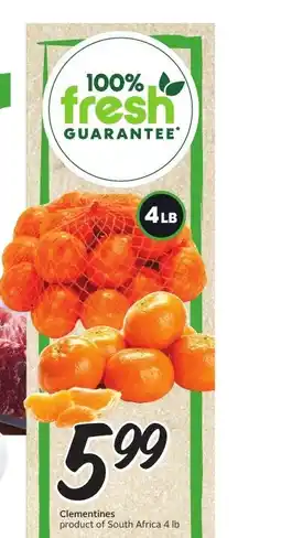 Sobeys Clementines offer