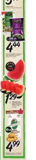 Sobeys Taylor Farms chopped or leaf salad kits offer