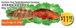 Full Fresh Supermarket Eastern Star Spot/Areolate Grouper offer