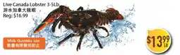 Full Fresh Supermarket Live Canada Lobster offer