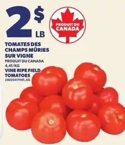 Provigo Tomates des champs mûries sur vigne offer