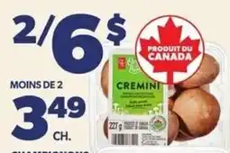 Provigo Cremini offer