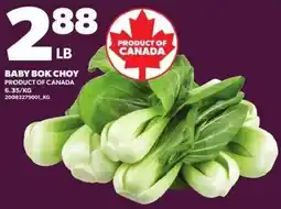 Loblaws Baby Bok Choy offer