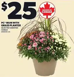 Loblaws PC mum with grass planter offer