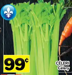 Supermarché PA CÉLERI | Celery offer