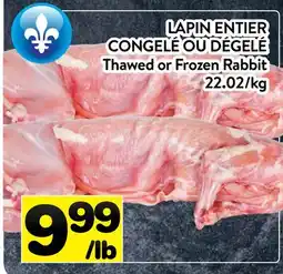 Supermarché PA LAPIN ENTIER CONGELÉ OU DÉGELÉ | Thawed or Frozen Rabbit offer