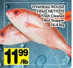 Supermarché PA VIVANEAU ROUGE FRAIS NETTOYÉ | Fresh Cleaned Red Snapper offer