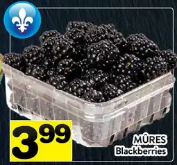 Supermarché PA MÛRES | Blackberries offer