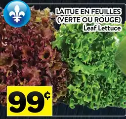 Supermarché PA LAITUE EN FEUILLES (VERTE OU ROUGE) | Leaf Lettuce offer