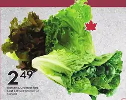 Sobeys Romaine, Green or Red Leaf Lettuce offer