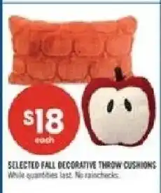 Shoppers Drug Mart Selected fall decorative throw cushions offer