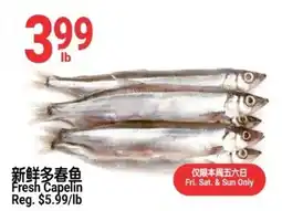 SunFood Supermarket Fresh Capelin offer