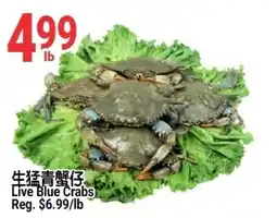 SunFood Supermarket Live Blue Crabs offer