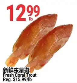 SunFood Supermarket Fresh Coral Trout offer