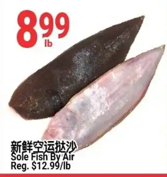 Sole Fish By Air