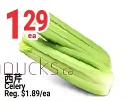 SunFood Supermarket Celery offer