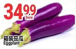 SunFood Supermarket Eggplant offer