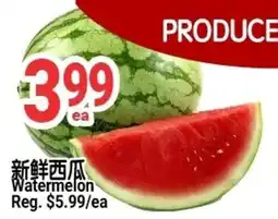 SunFood Supermarket Watermelon offer