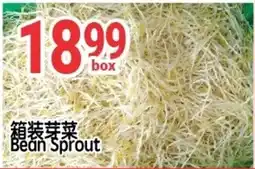 SunFood Supermarket Bean Sprout offer