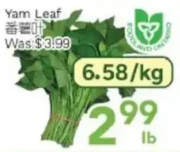 Ample Food Market Yam Leaf offer