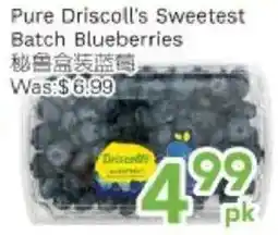 Ample Food Market Driscoll's blueberries offer