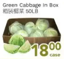 Ample Food Market Green Cabbage In Box offer