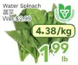 Ample Food Market Water Spinach offer