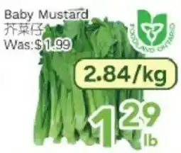 Ample Food Market Baby Mustard offer