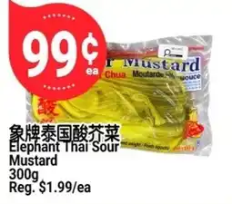 SunFood Supermarket Elephant Thai Sour Mustard offer