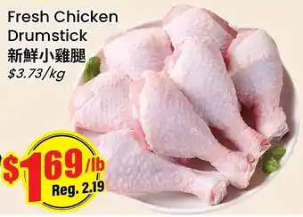 Fresh Chicken Drumstick