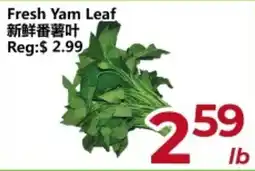 Asian Food Centre Fresh Yam Leaf offer