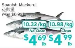 Ample Food Market Spanish Mackerel offer