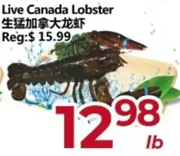 Asian Food Centre Live Canada Lobster offer