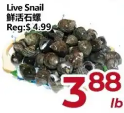 Asian Food Centre Live Snail offer