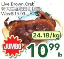 Ample Food Market Live Brown Crab offer