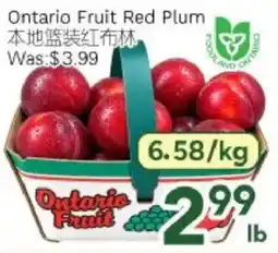 Ample Food Market Ontario Fruit red plum offer