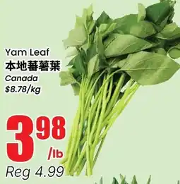 Btrust Supermarket Yam Leaf offer