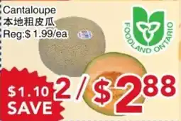 Yours Food Mart Cantaloupe offer