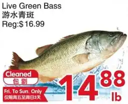 Yours Food Mart Live Green Bass offer