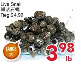 Yours Food Mart Live Snail offer