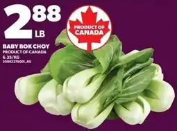 Zehrs Markets Baby Bok Choy offer