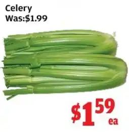 Top Food Supermarket Celery offer