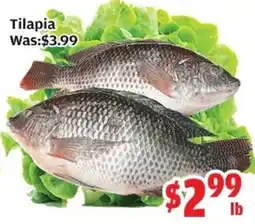 Top Food Supermarket Tilapia offer